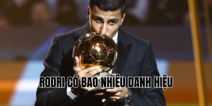 rodri có bao nhiêu danh hiệu